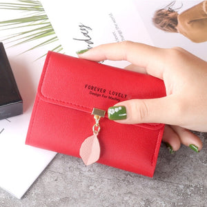 Buckle Coin Purse