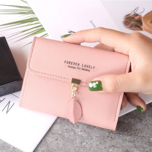 Buckle Coin Purse