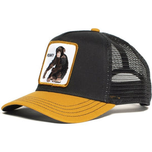 Snapback Hat
