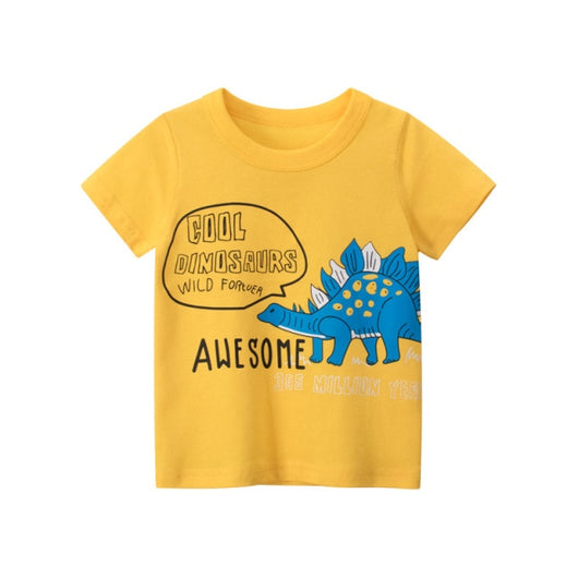 Boys T-shirt