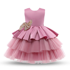 Toddler Baby Girl Dress
