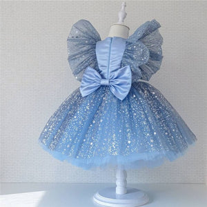 Toddler Baby Girl Dress